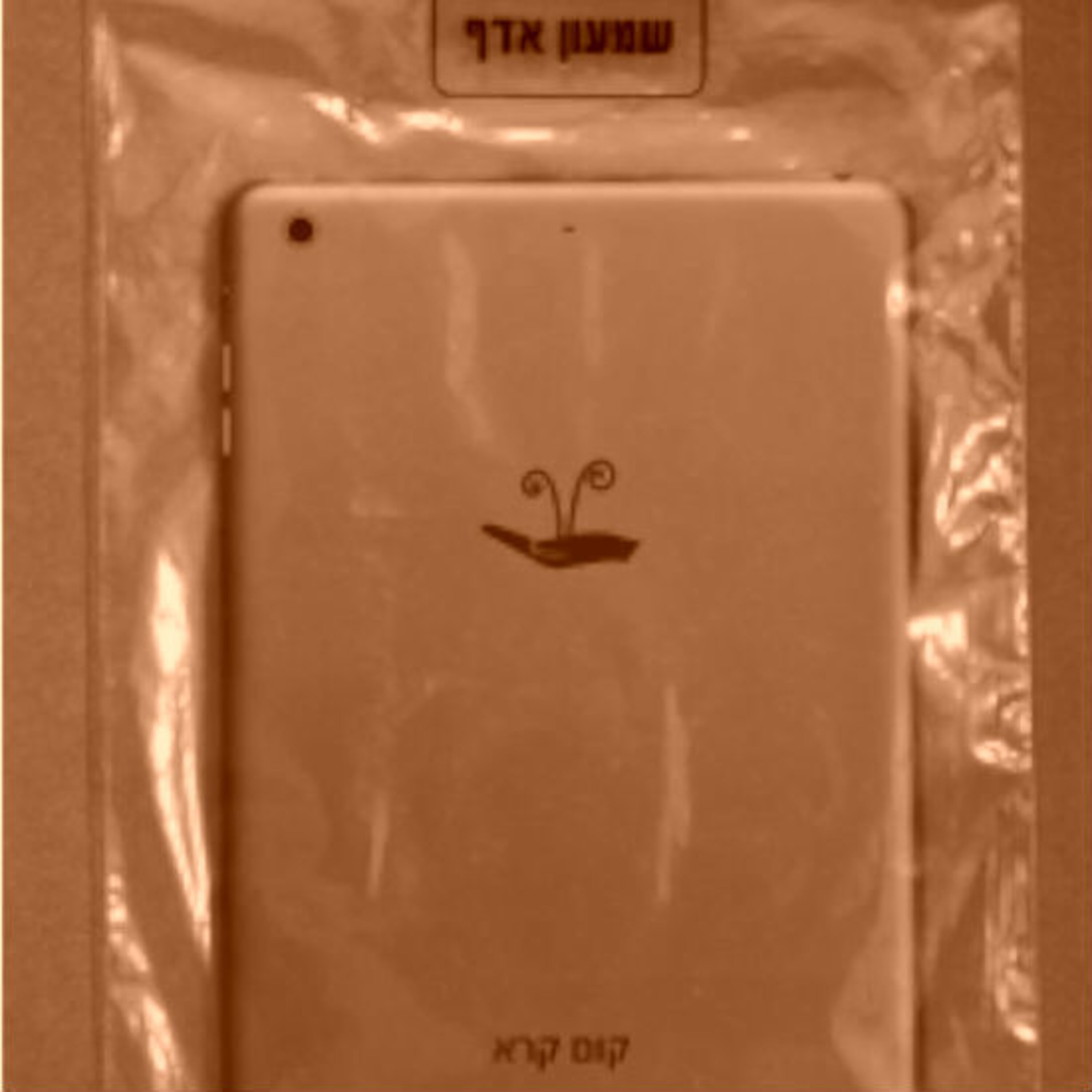 "קום קרא" מאת שמעון אדף (2017)