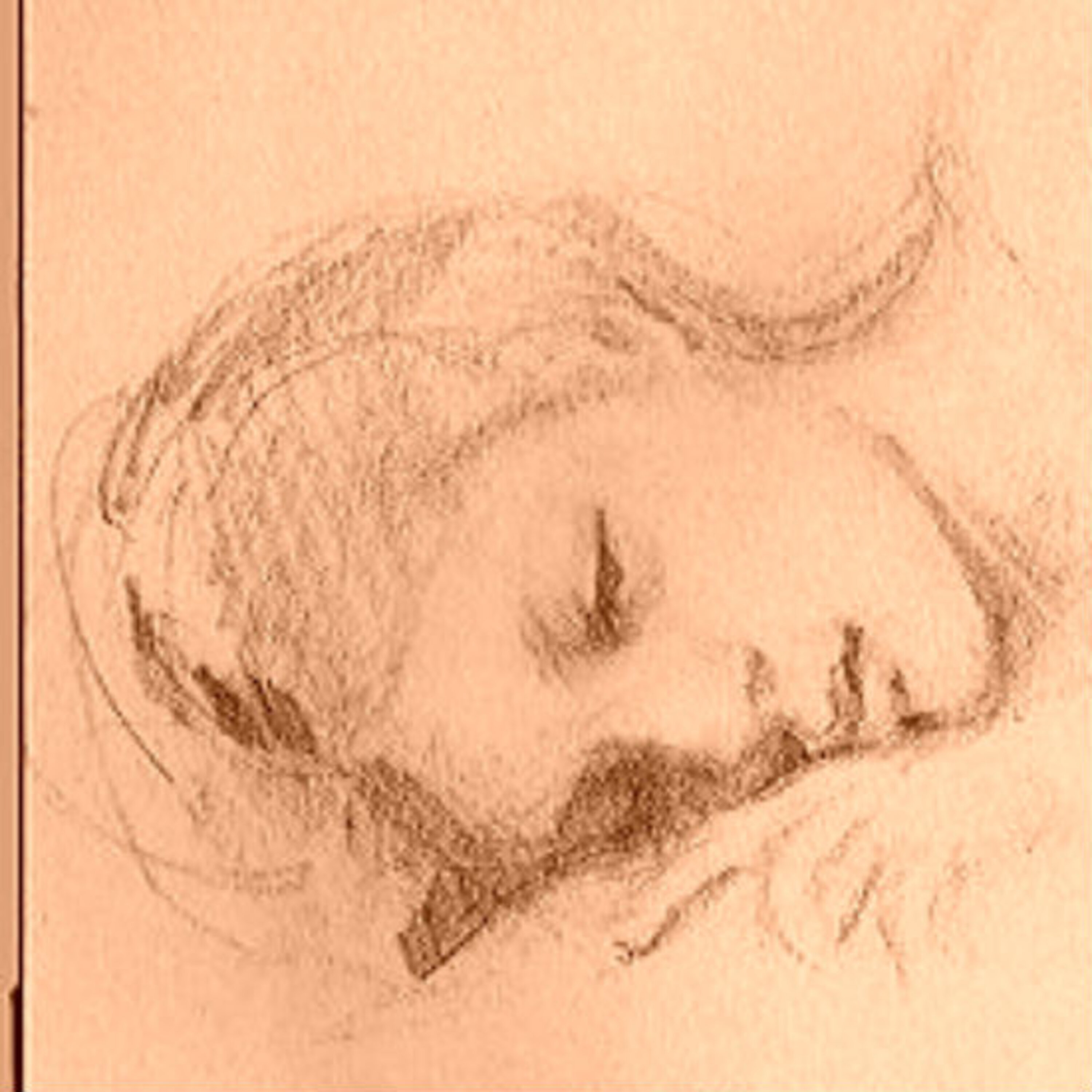 'קול צעדינו' מאת רונית מטלון 'קול צעדינו' מאת רונית מטלון