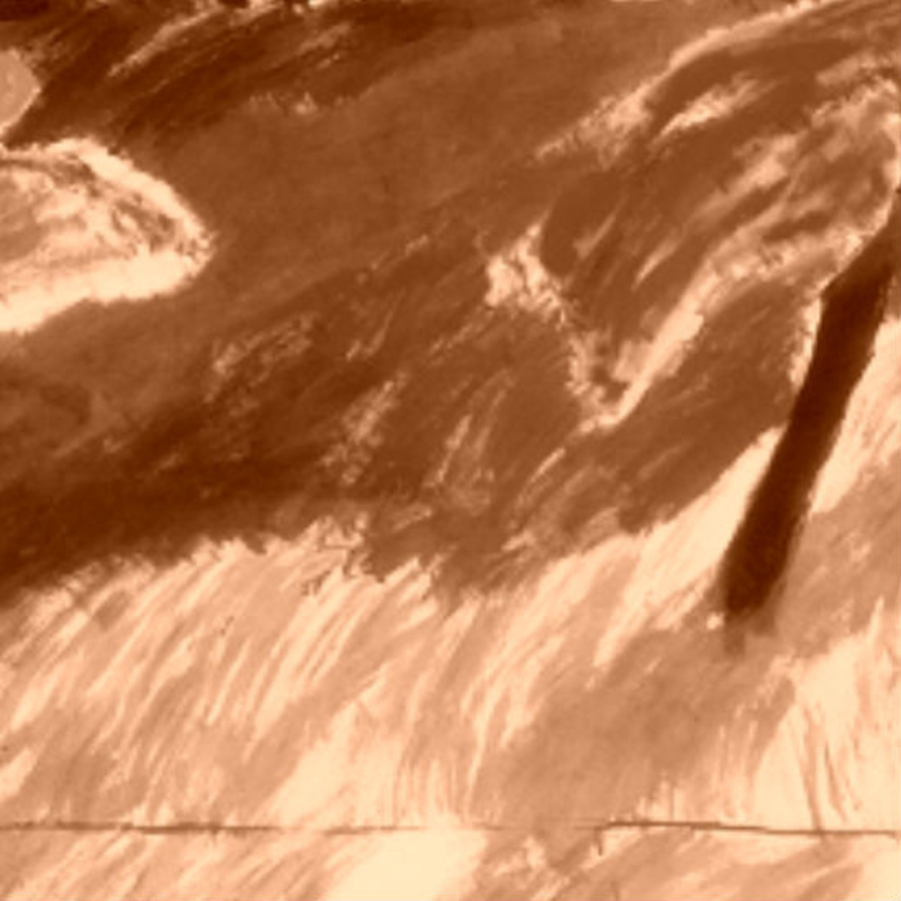 'אשה בורחת מבשורה' מאת דויד גרוסמן 'אשה בורחת מבשורה' מאת דויד גרוסמן