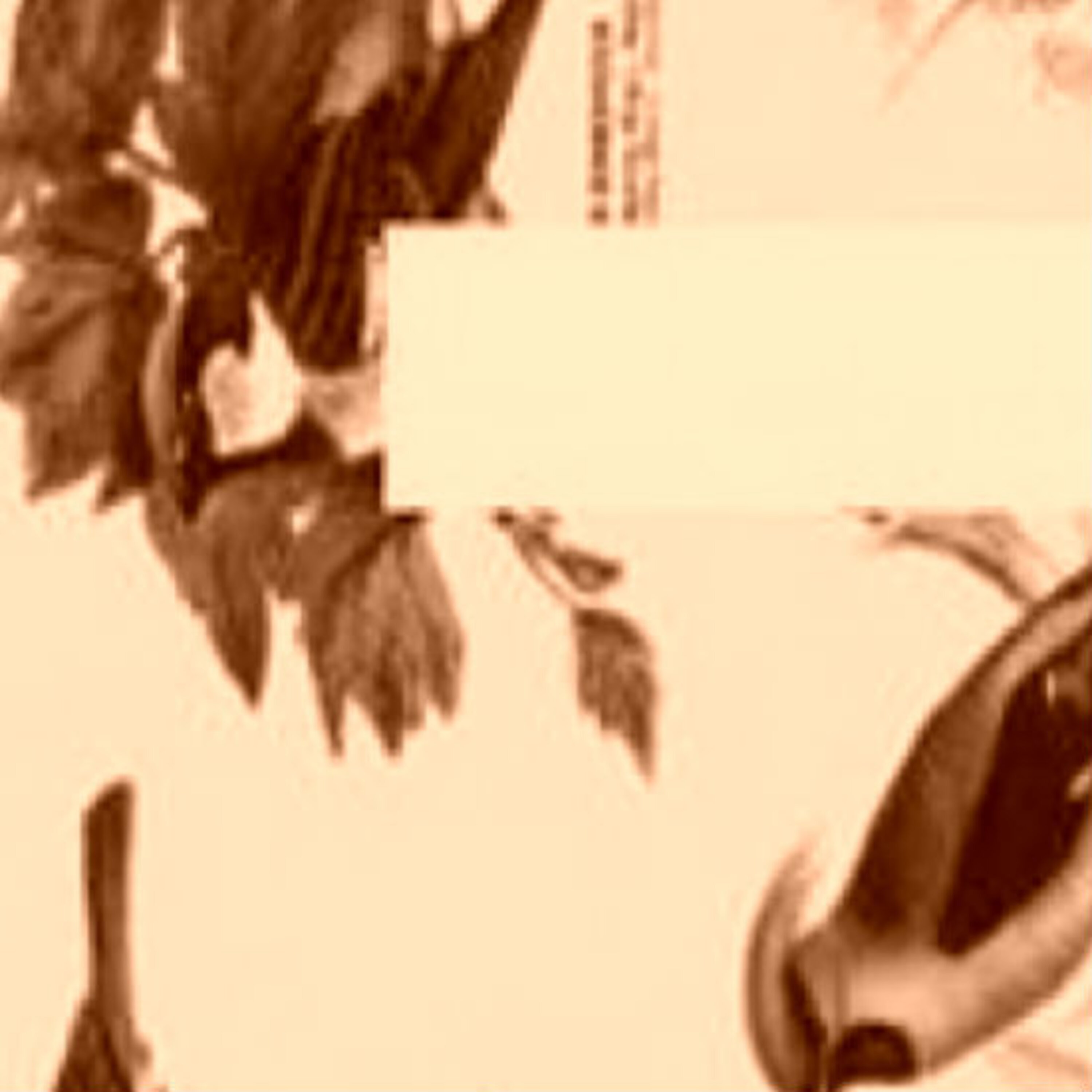 'אבנר ברנר' מאת דרור בורשטיין 'אבנר ברנר' מאת דרור בורשטיין