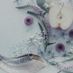 13.4.2025 - חגי ומועדי תשפ"ה