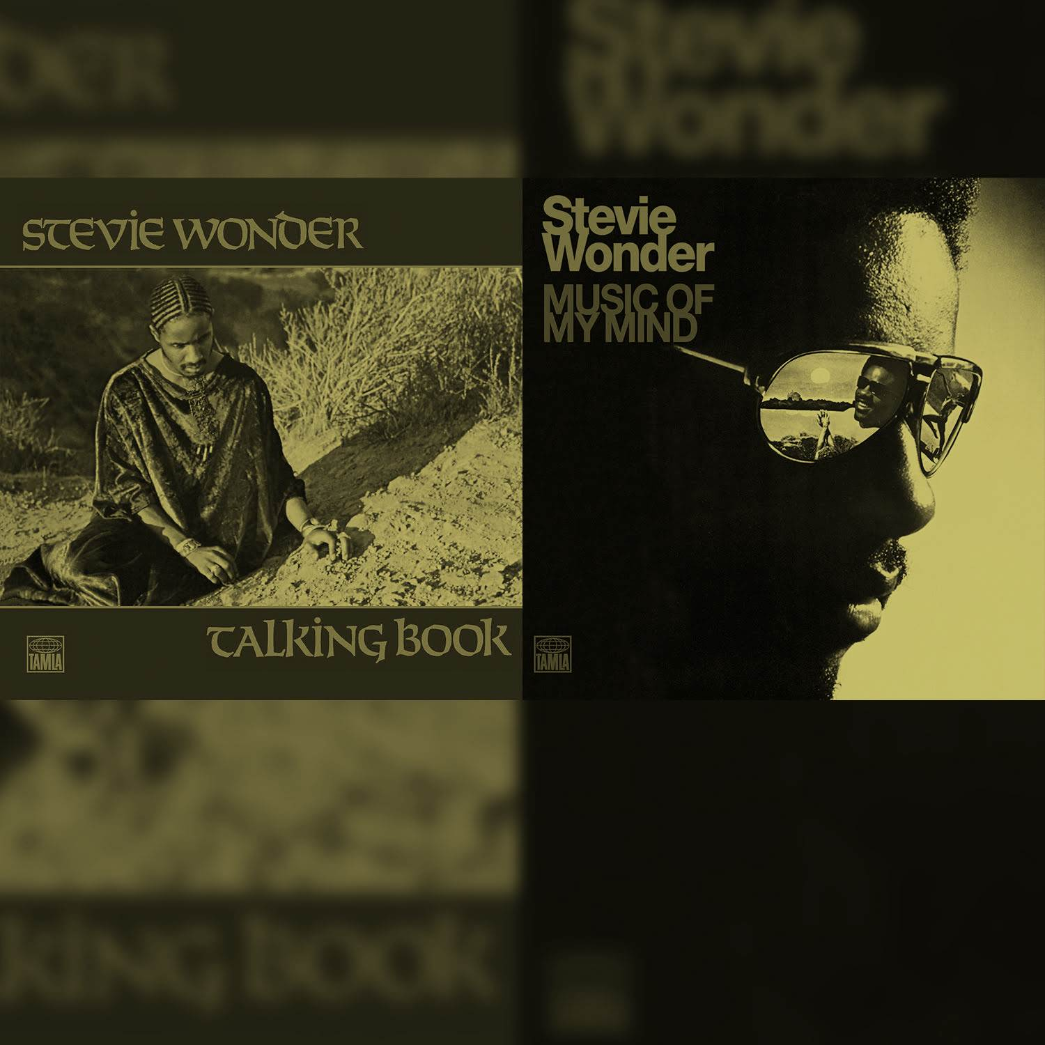 ספיישל סטיבי וונדר - 1972