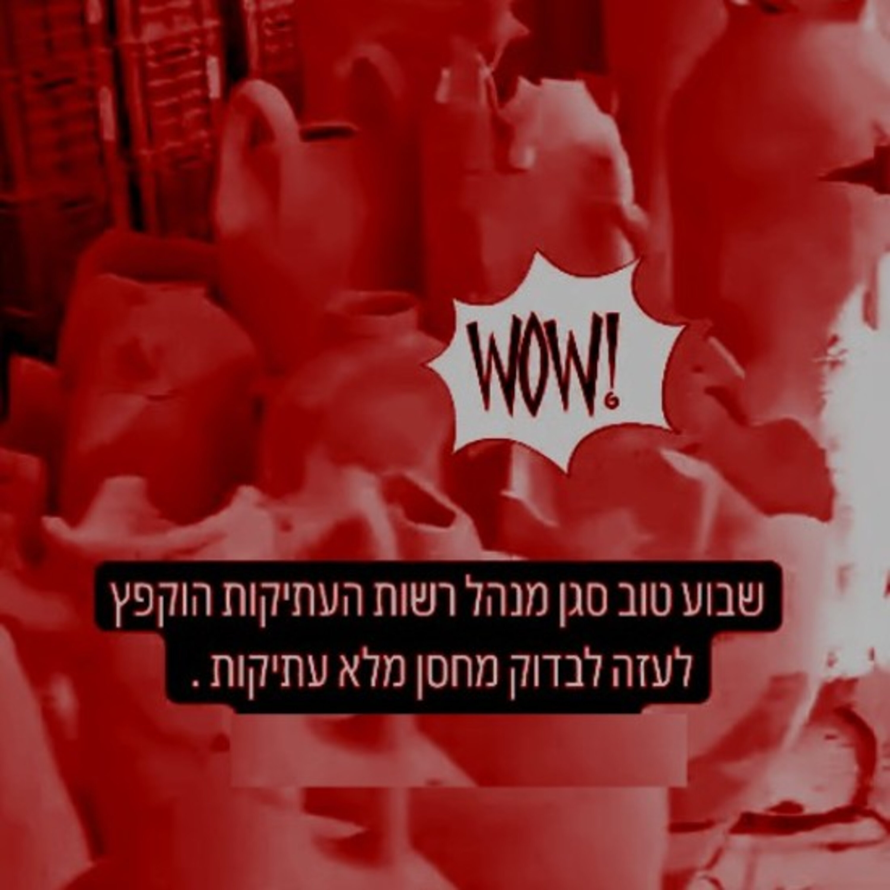 "וואו!" הסטורי של מנכ"ל רשות העתיקות מעזה