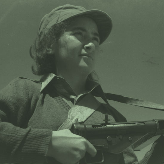 100 שנה לארגון ההגנה – חלק א'