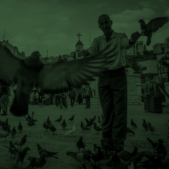 תהפוכות המזרח התיכון