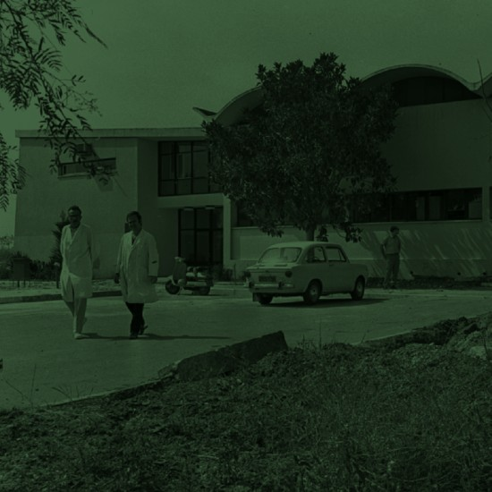 מכון וולקני בן 100