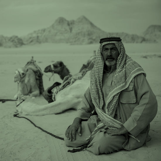 התרבות הבדואית בתנ