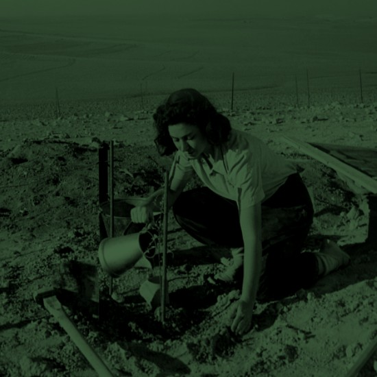 תנועה ללא שם