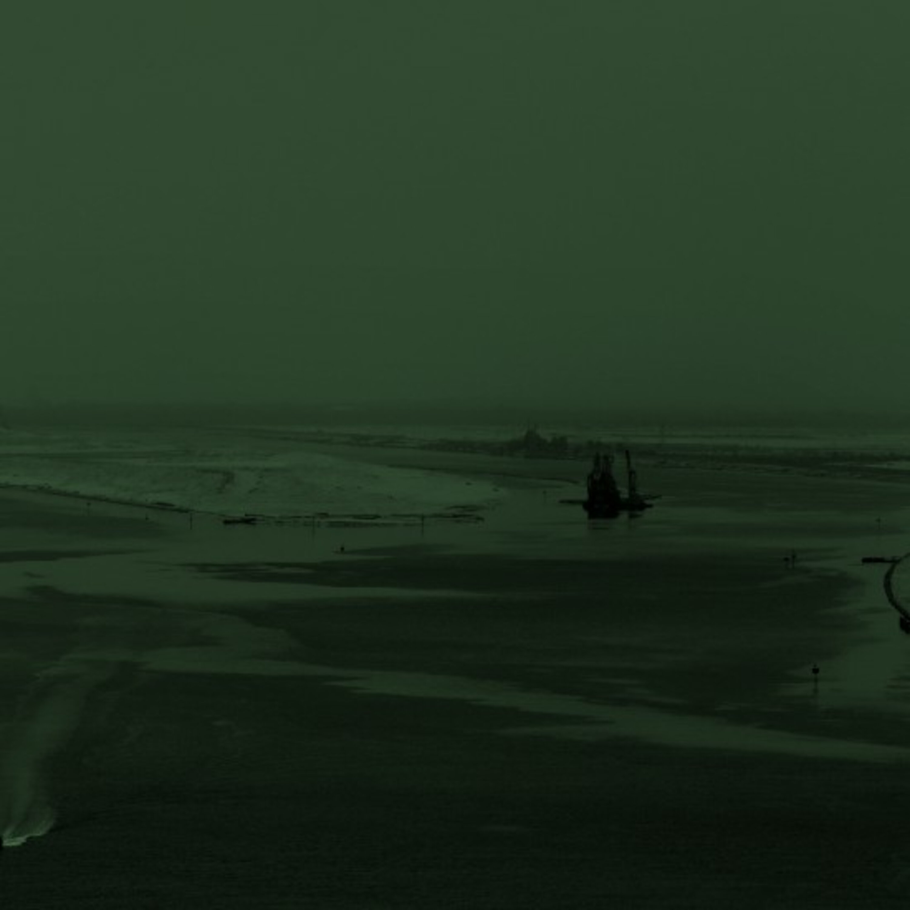 פלישת הדגים פלישת הדגים