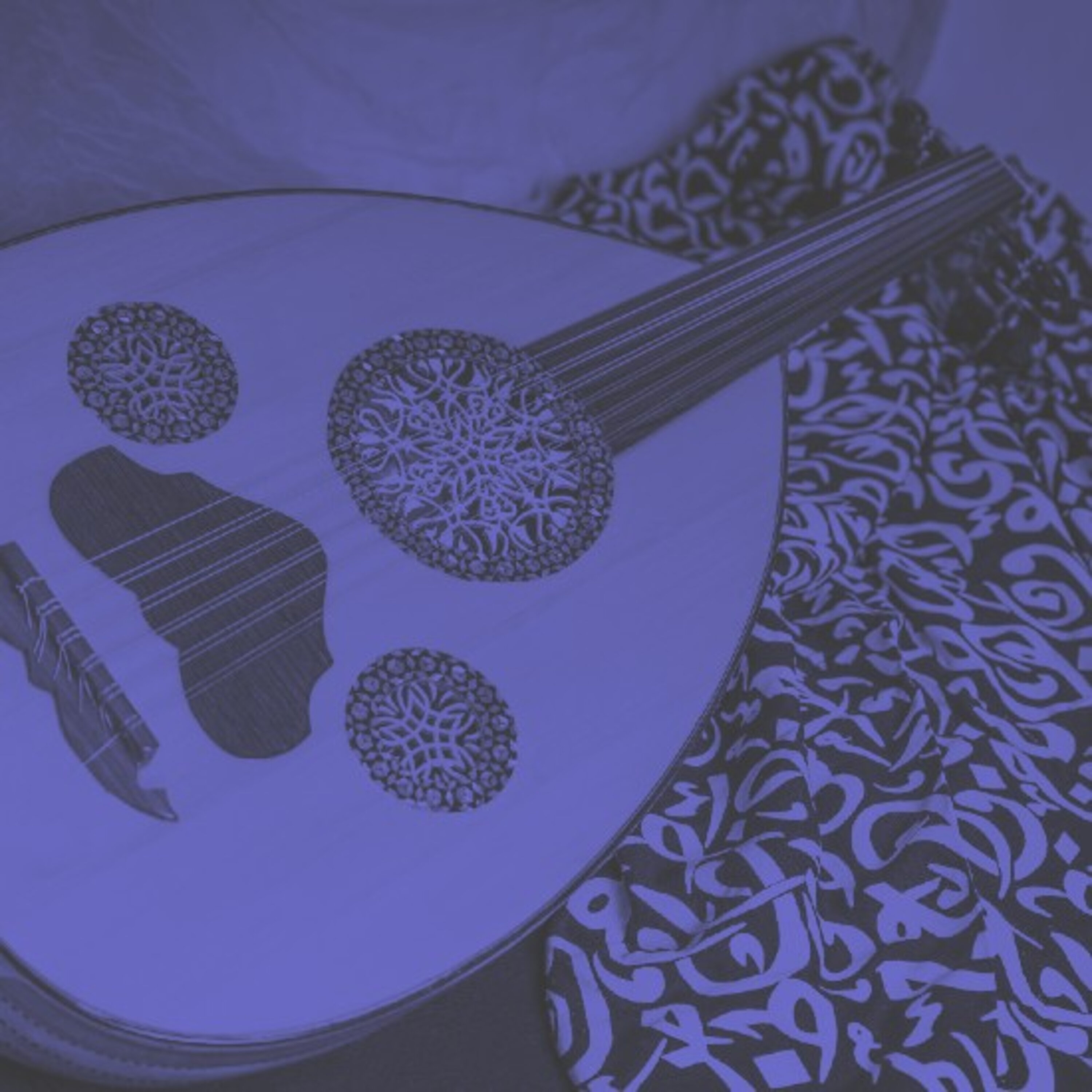 טארק אלגנדי טארק אלגנדי