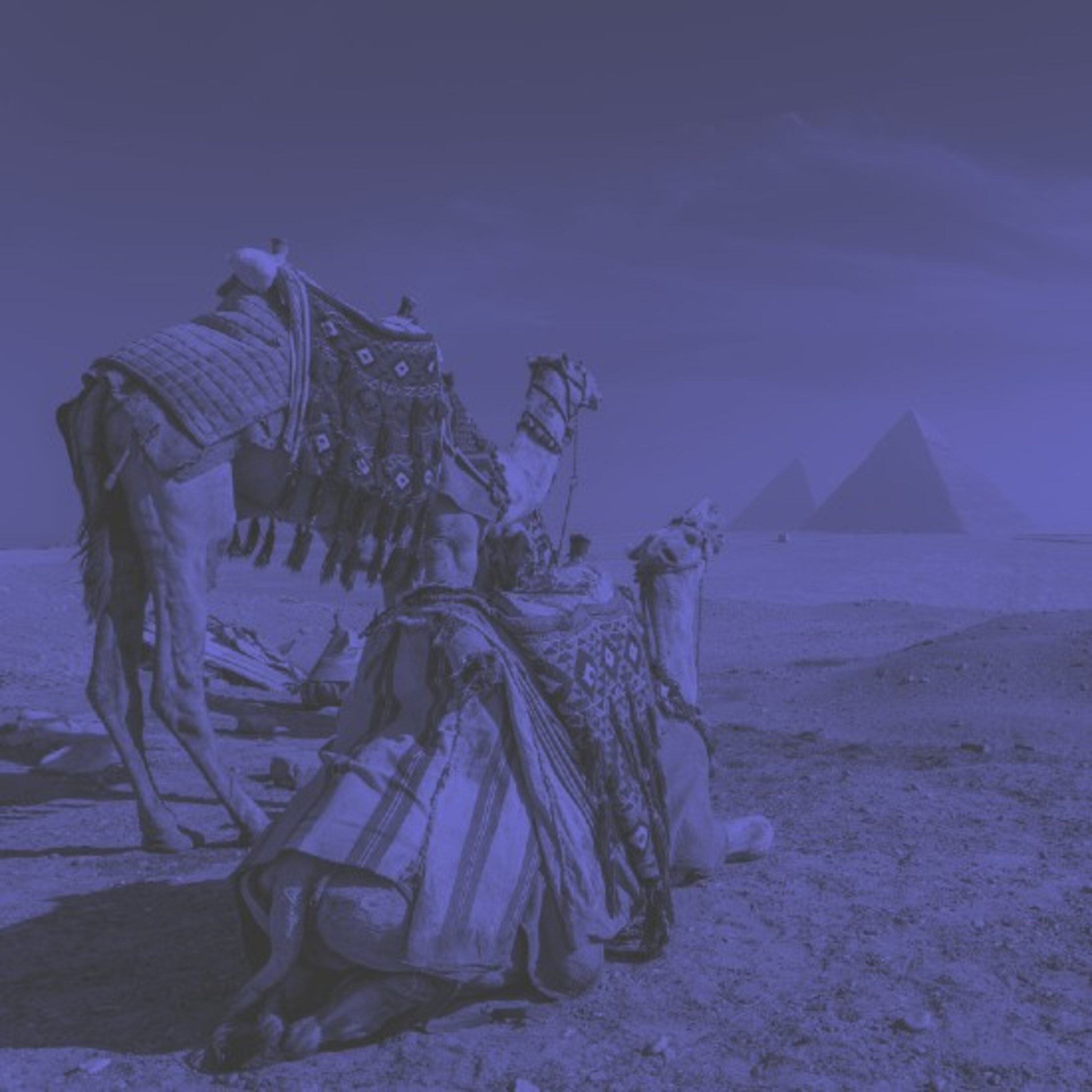 מצרים בשנות ה-70 מצרים בשנות ה-70