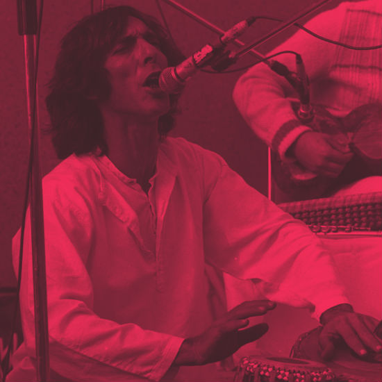 ילדים זה שמחה | שלמה בר והברירה הטבעית