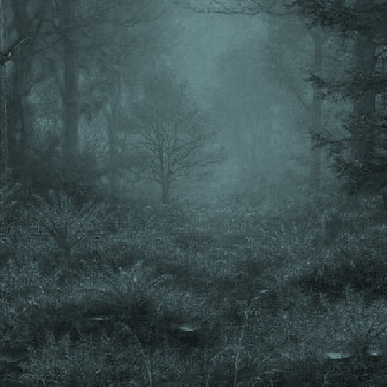 עמוק בטל: היחס הפלאי לטל במקורות היהודיים