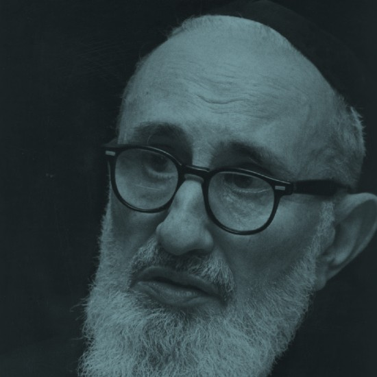 האורתודוקס הכי מודרני: שביעי של פסח עם הרב סולובייצ'יק