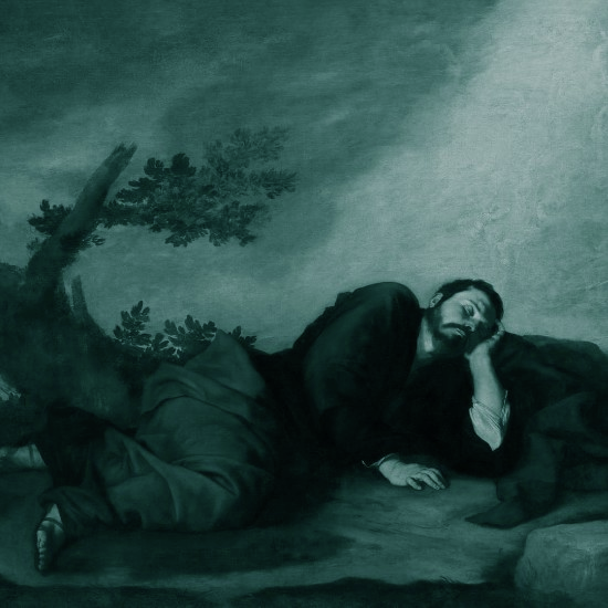 סולמות לשמיים: מסעות ישראליים, אהבה ישראלית