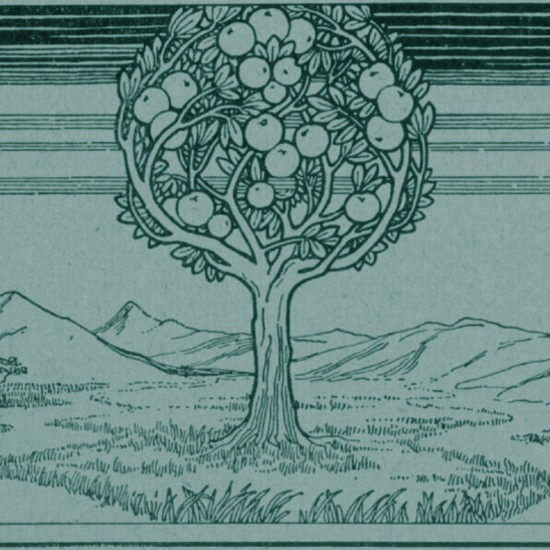 שיח השדה: להאזין לשיר של ט"ו בשבט