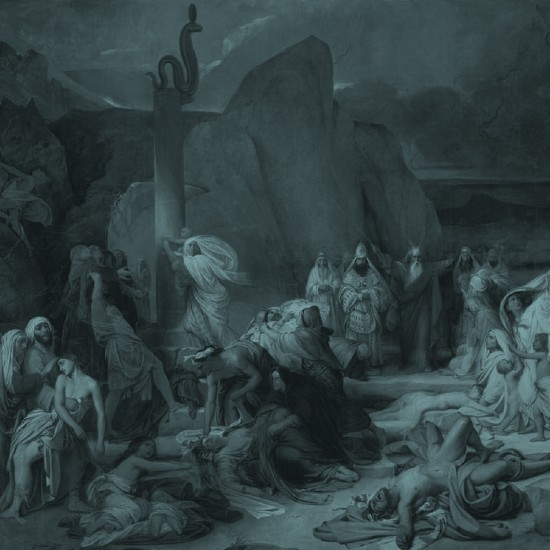 פרה, נחש, מים: הסמלים המסתוריים של פרשת חוקת