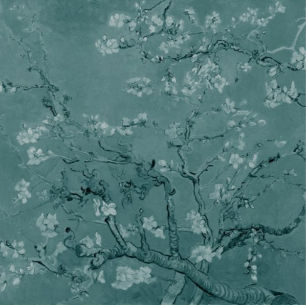 חמדת ימים: מחשבות על שורשי ט"ו בשבט