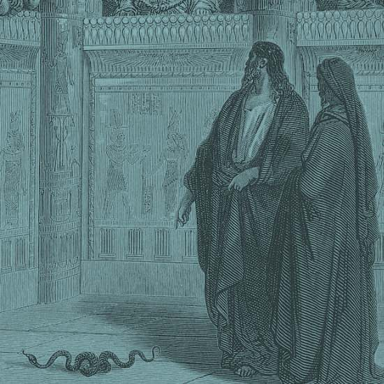 לראות את החסד שבשבֶט: בין פרשת וארא לראש חודש שבט