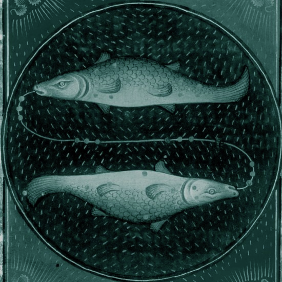 דגים במים: השמחה של חודש אדר