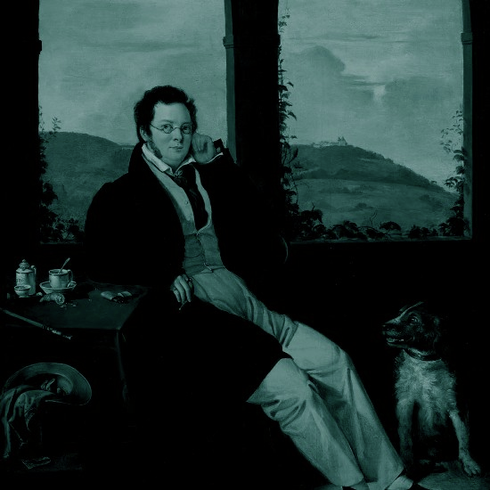 פלא של יופי אמיתי: השירים של שוברט