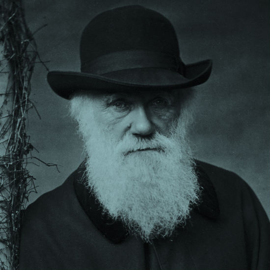 הספר ששינה את העולם: מבט מחודש על מוצא המינים של דרווין