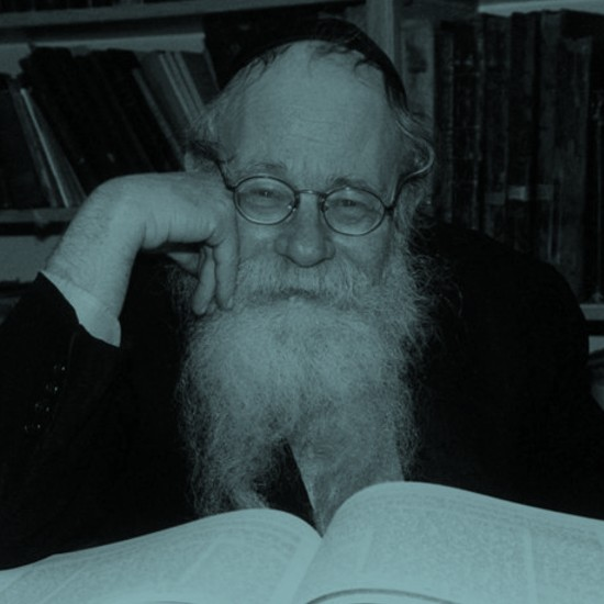 גשרים עדינים לחכמת היהדות: שנה לפטירת הרב עדין שטיינזלץ