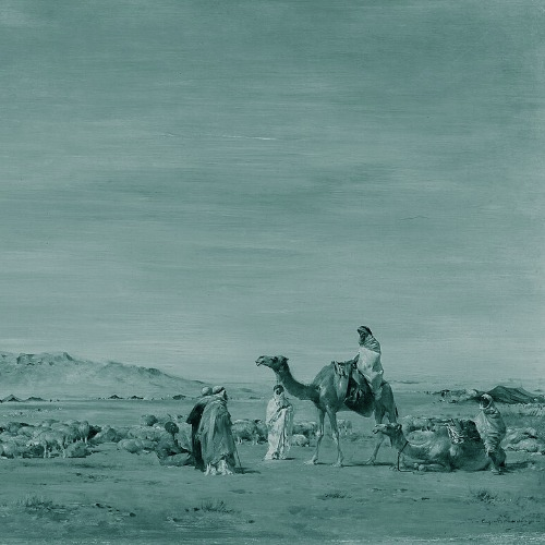 ארץ לא זרועה: משה, פנחס ומאבקים אנושיים