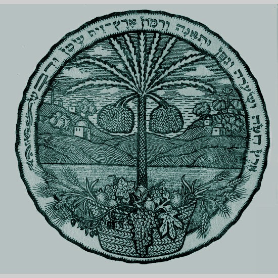 צמא ודבש: חיים בארץ המקרא episode artwork