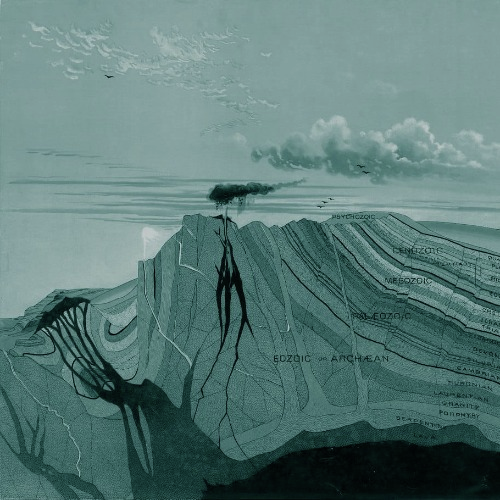 המשורר מביט על הטבע: שיחה עם דרור בורשטיין