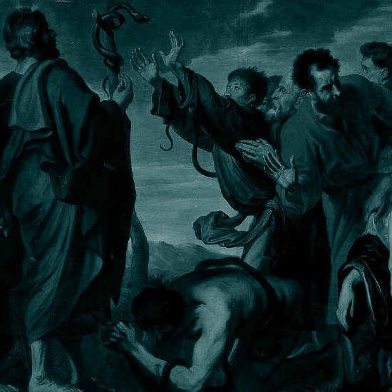 אל תכה בסלע: הניסיון הנואש להיטהר מן המוות