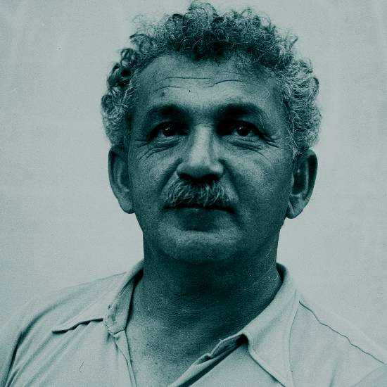 בזכות המבוכה: שיחה עם ד"ר אריאל לוינסון