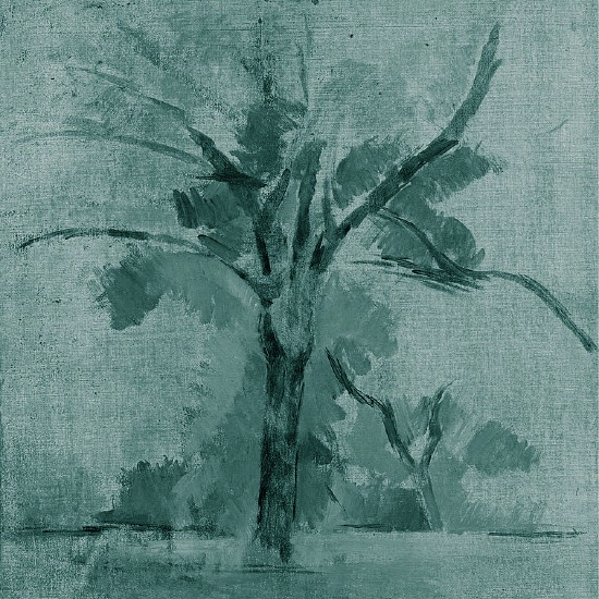 שנות העץ: להיכנס לממד הזמן של ט"ו בשבט