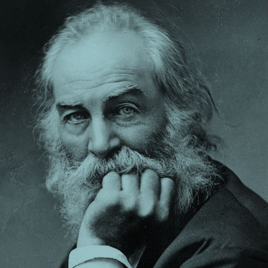 תופסים אמריקה: אש זרה בעקבות שירת הטבע האמריקנית