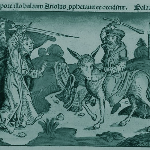 לאלף את הקסם: האריה, האתון ובלק בן ציפור