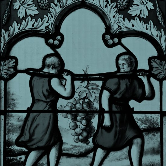 ונהי בעינינו כחגבים: מבט פואטי על חטא המרגלים