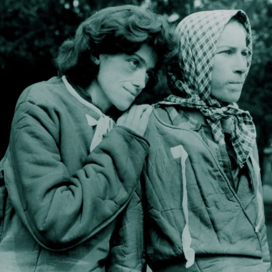 אימה גדולה ותקווה: שחרור ברגן בלזן