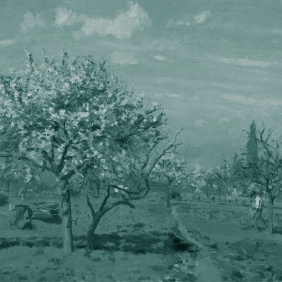 שיר השירים של החירות: באים בשערי פסח