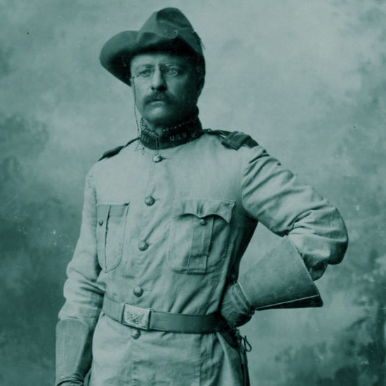 רוזוולט: הנשיא המודרני הראשון