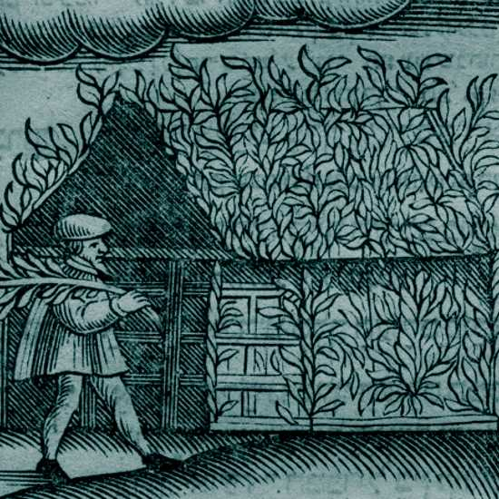 הסוכה שלפני החוק: נדודים ומשיחיות בסוכות