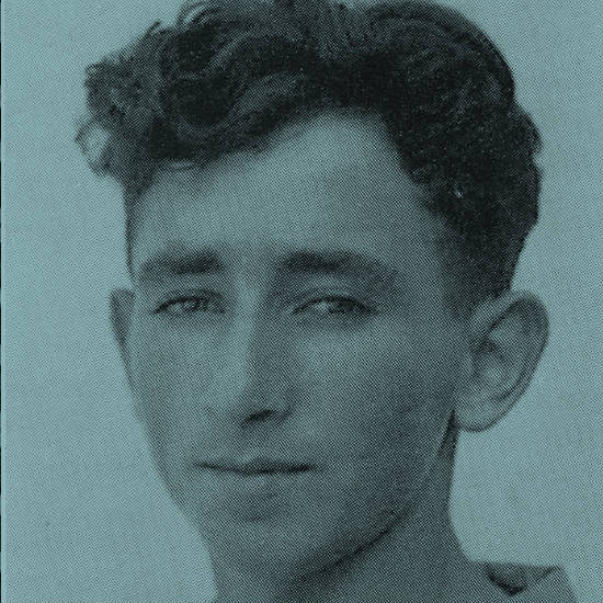 אנושי, אנושי מדי: אש זרה לזכרו של פנחס שדה