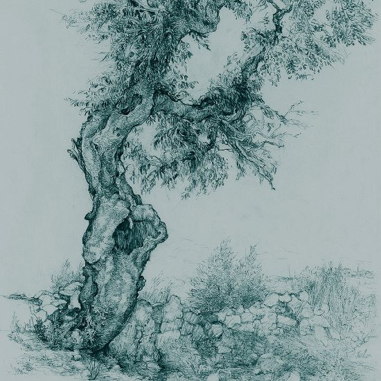 לחם ושמיים: המפגש הארצישראלי בין הרוח לחומר