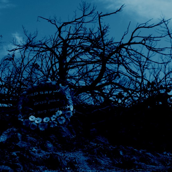 שנה ב-75 שניות | 2010 - אסון הכרמל