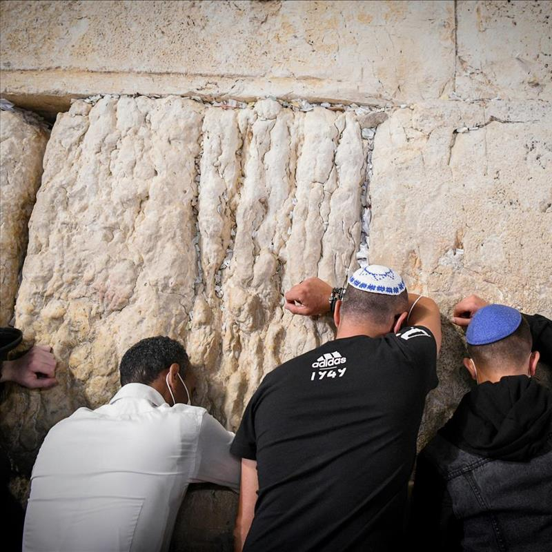 "משפרת את איכות החיים שלנו": חשיבותה של סליחה