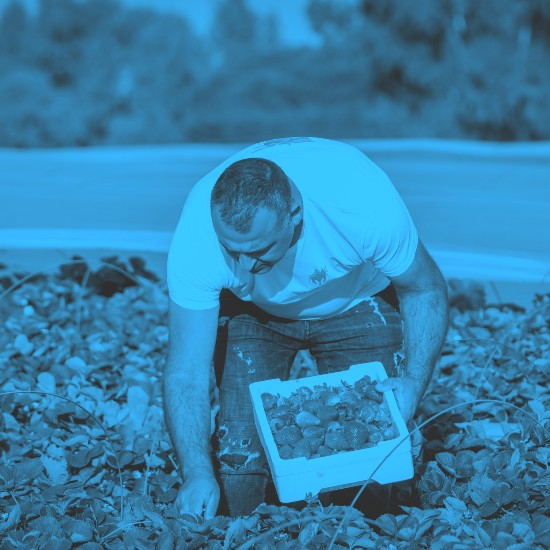 יש לי מושג ירוק | פרק 9 - חדשנות בחקלאות