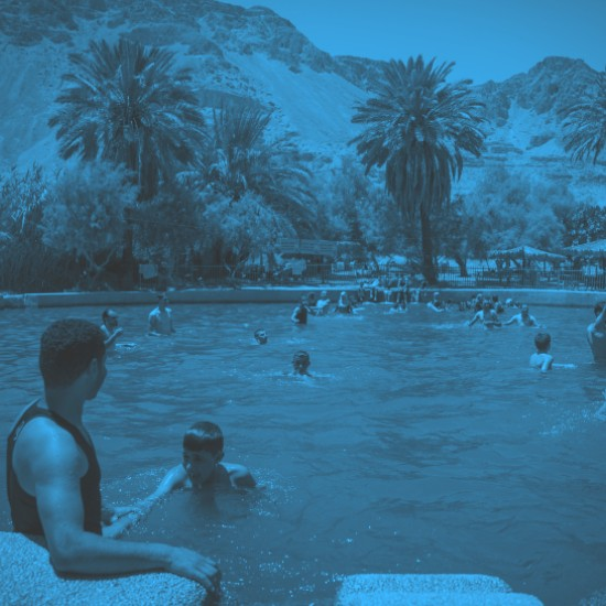 יש לי מושג ירוק | פרק 13 - המעיינות הנודדים באיזור ים המלח