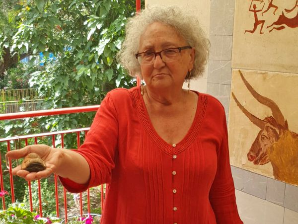 מצאה פסלון בן 3000 שנה: "ניקיתי את החוף, פתאום ראיתי פרצוף על פריט שמצאתי"