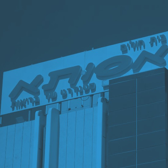 "עפ"י הרבנים נושאת העוברים היא האם"