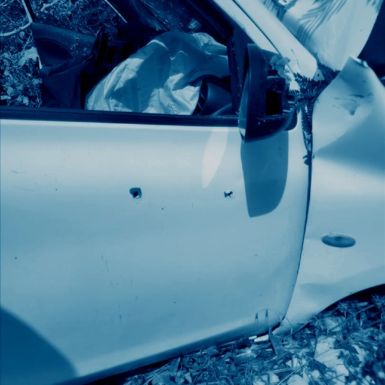 "משפחה אצילית ומאירה, שאי אפשר לפספס"