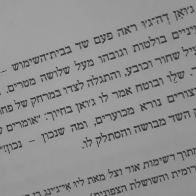 זה כל הקסם